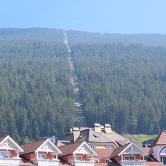IMG 8116