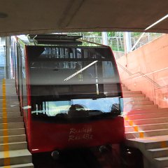 IMG 8125