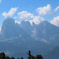 IMG 8133