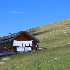 IMG 8137