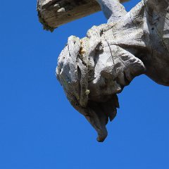 IMG 8154
