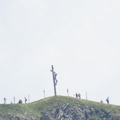 IMG 8181