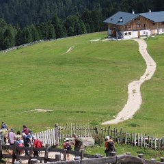 IMG 8193