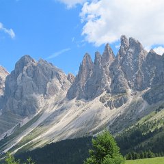 IMG 8194