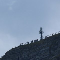 IMG 8195
