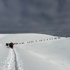 0c2cf07e-852e-44ad-9551-095a5dafaf47