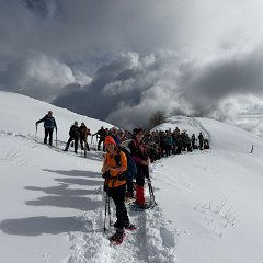 291895cf-9860-4d54-b930-978ef1483c4f