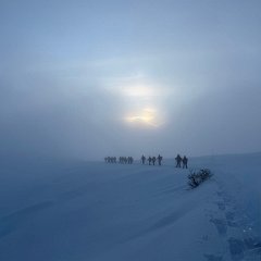 874dc338-be58-493d-9908-6eb5dc416eab