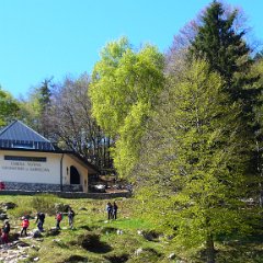 P1620293