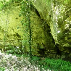 P1080546-R