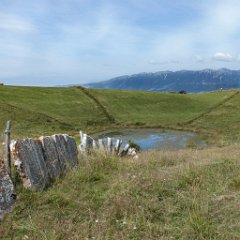 DSC00035.jpg35