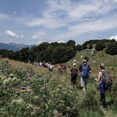 DSC00065.jpg65