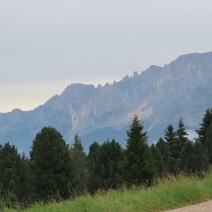 IMG 8969