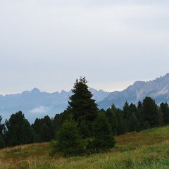 IMG 8972