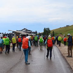 IMG 8973