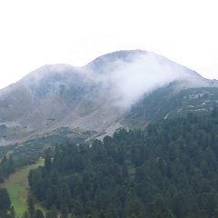 IMG 8975
