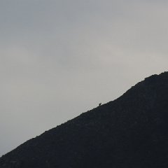 IMG 8977