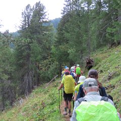 IMG 8978