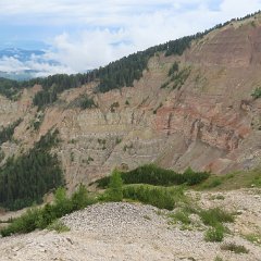 IMG 8988