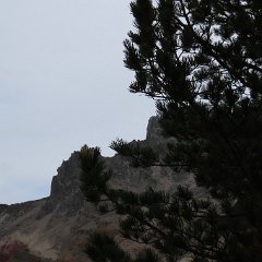 IMG 8990