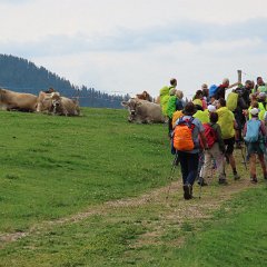 IMG 8995