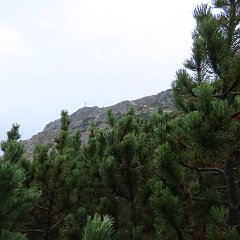 IMG 9000