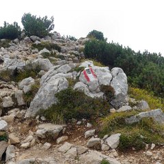 21-P1090201r